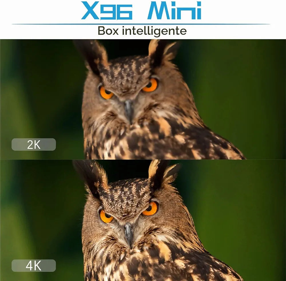 X96 Mini TV box Android compatibility graphic